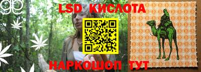 эйфоретик Нальчик