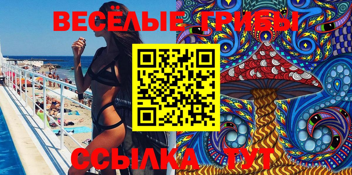 Узловая  продажа наркотиков  Вход с VPN  Псилоцибиновые грибы Magic Shrooms 