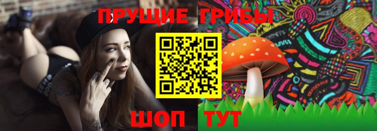 Галлюциногенные грибы мицелий Узловая